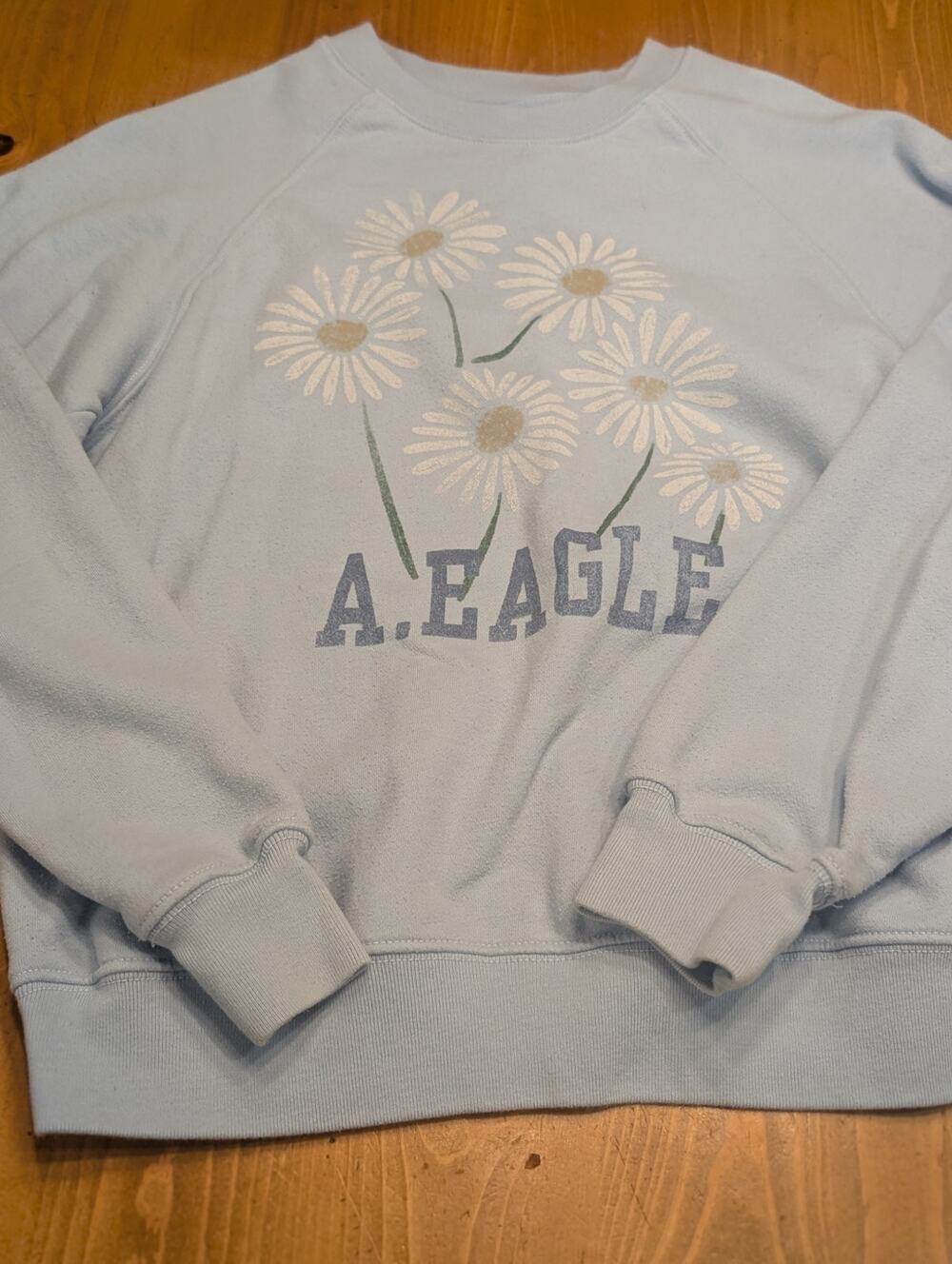 American Eagle Crew Neck Sweatshirt, Light Blue, Daisy Print, Women's XS, GU